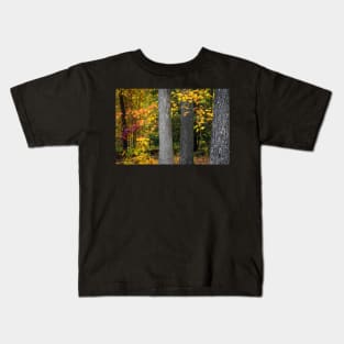 Tree Trunks in Autumn Kids T-Shirt